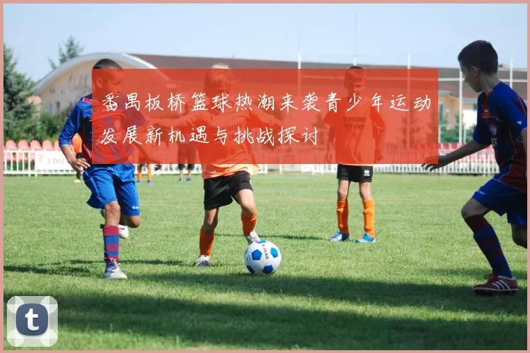番禺板桥篮球热潮来袭青少年运动发展新机遇与挑战探讨
