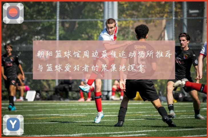 朝阳篮球馆周边最佳运动场所推荐与篮球爱好者的聚集地探索