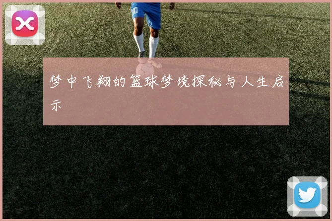 梦中飞翔的篮球梦境探秘与人生启示