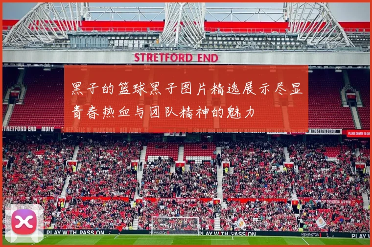 黑子的篮球黑子图片精选展示尽显青春热血与团队精神的魅力